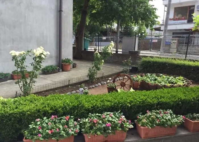 къща мечта 招待所 *